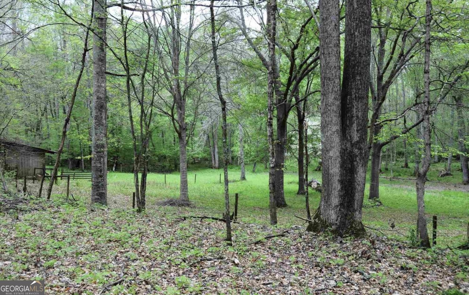 385 Vaughn Road Newnan - Photo 55