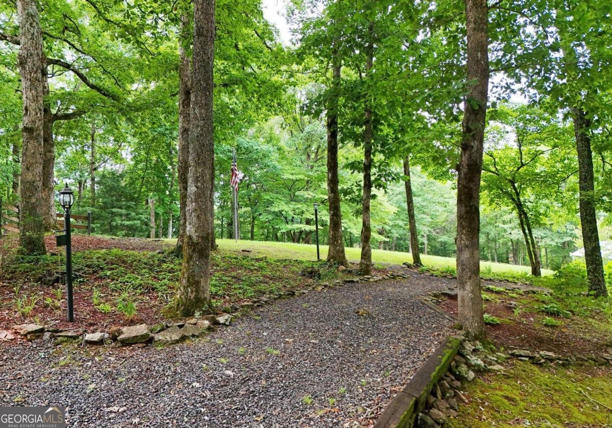 1250 Hawkview Drive Hiawassee - Photo 12