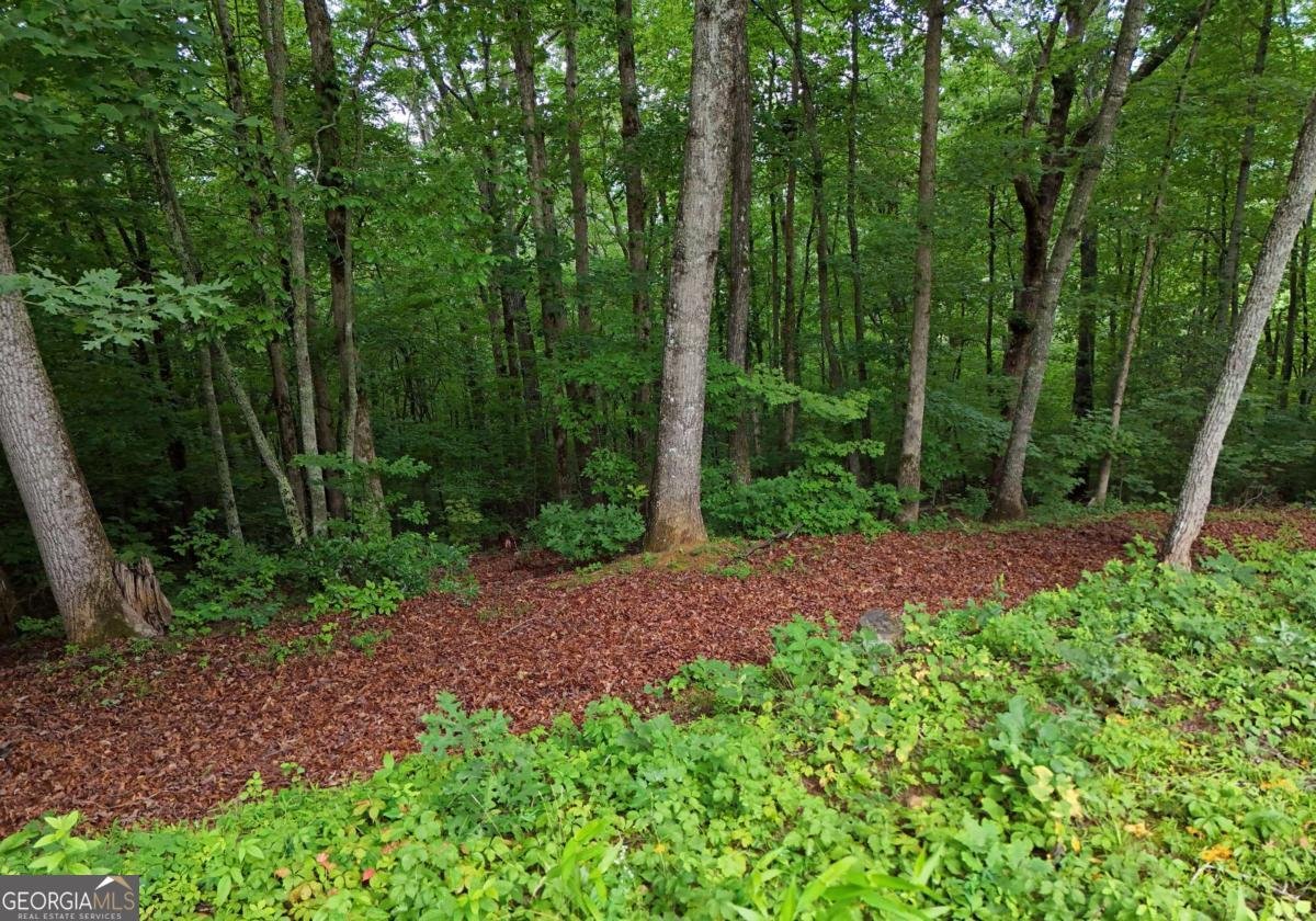 1250 Hawkview Drive Hiawassee - Photo 19