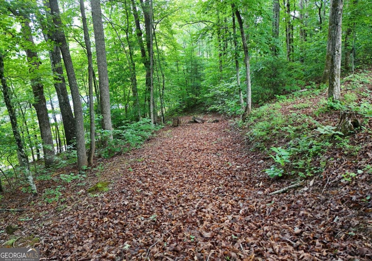 1250 Hawkview Drive Hiawassee - Photo 20