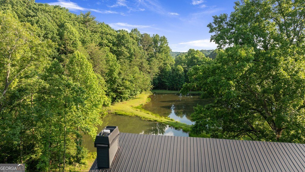 4275 Owltown Road Ellijay - Photo 39
