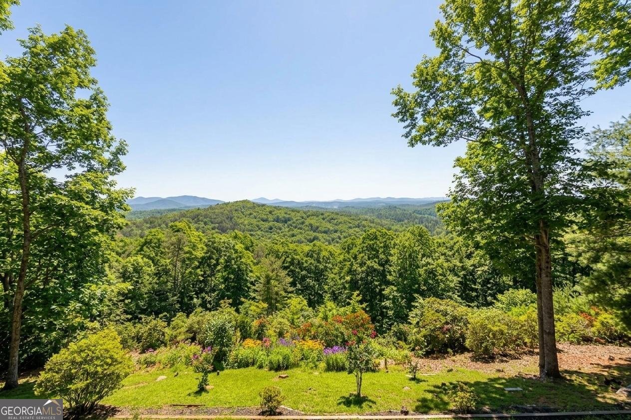 503 Ranch Mountain Drive Dahlonega - Photo 16