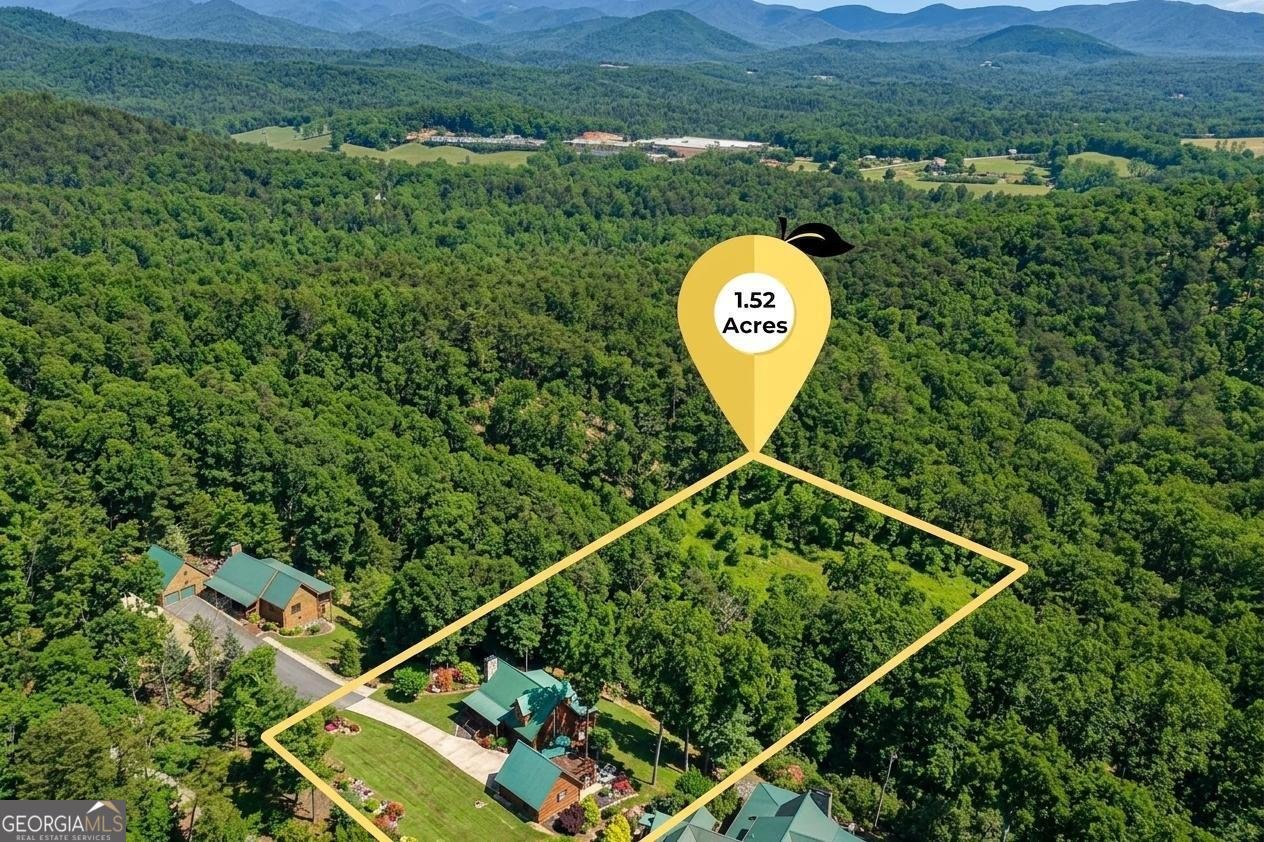 503 Ranch Mountain Drive Dahlonega - Photo 56