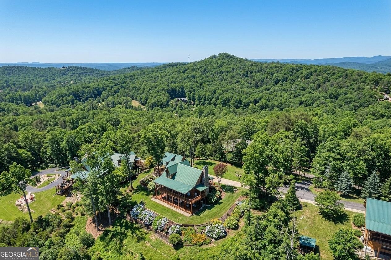 503 Ranch Mountain Drive Dahlonega - Photo 57