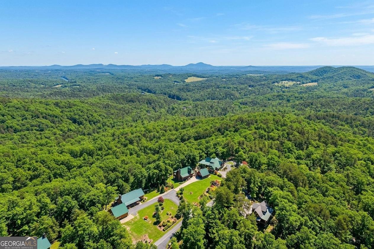 503 Ranch Mountain Drive Dahlonega - Photo 58