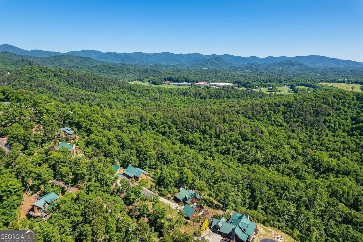 503 Ranch Mountain Drive Dahlonega - Photo 59