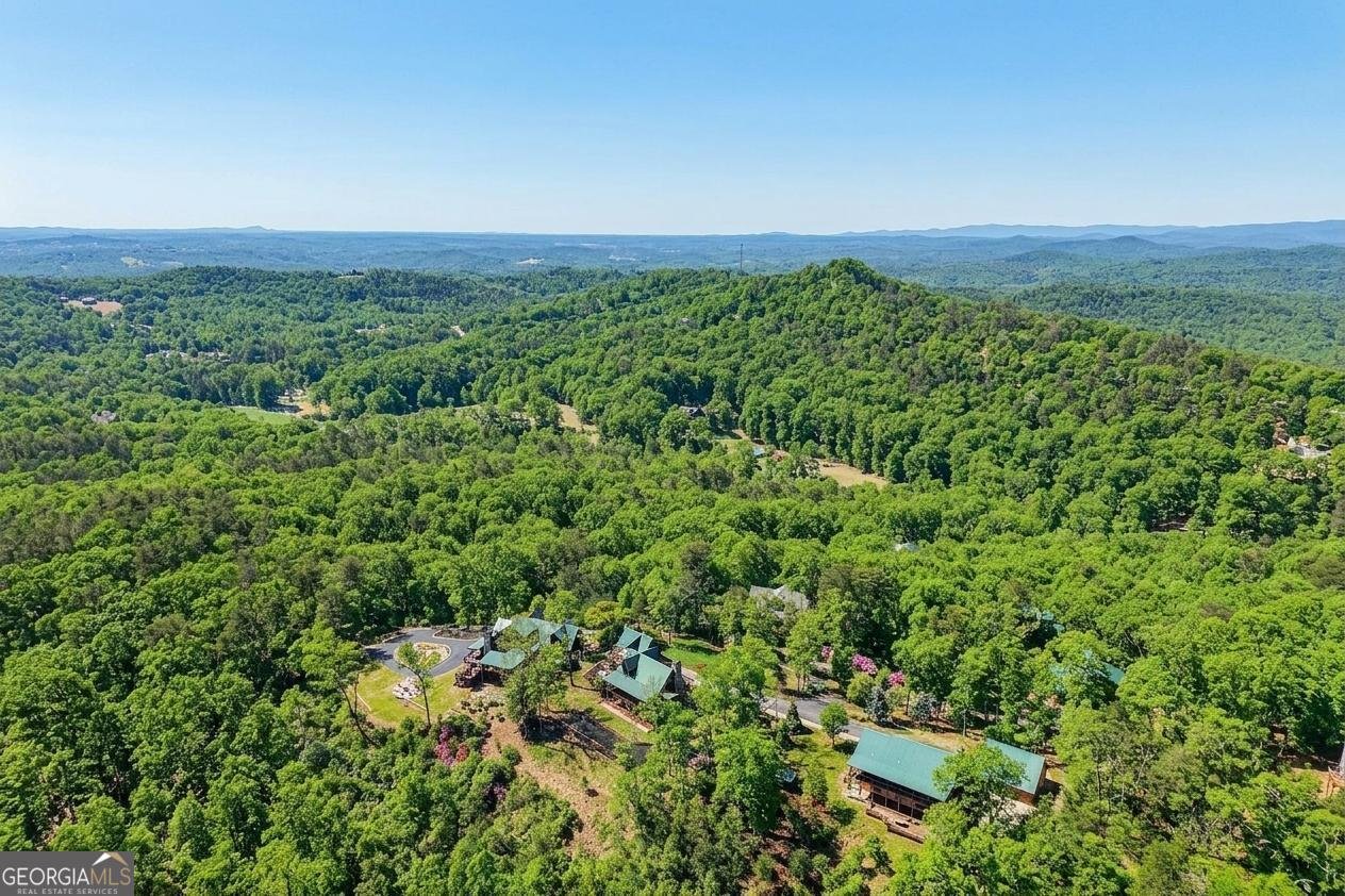 503 Ranch Mountain Drive Dahlonega - Photo 60