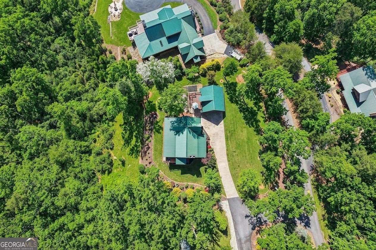 503 Ranch Mountain Drive Dahlonega - Photo 61
