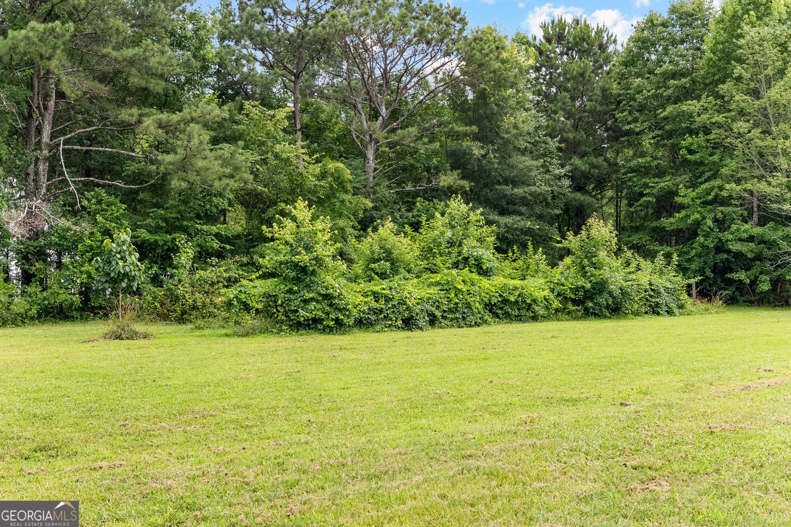 1651 Highway 92 Fayetteville - Photo 13
