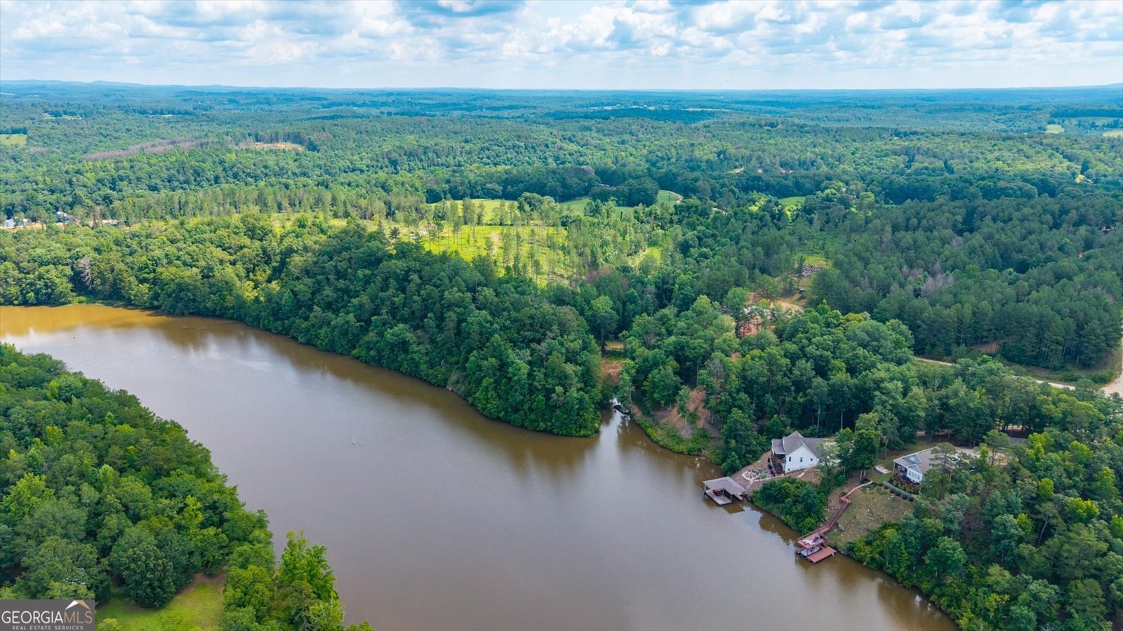17 Waterview Drive Wedowee - Photo 54