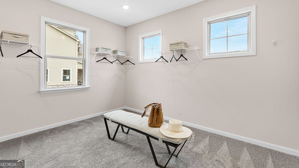 8515 Stratford Oaks Avenue Ball Ground - Photo 34