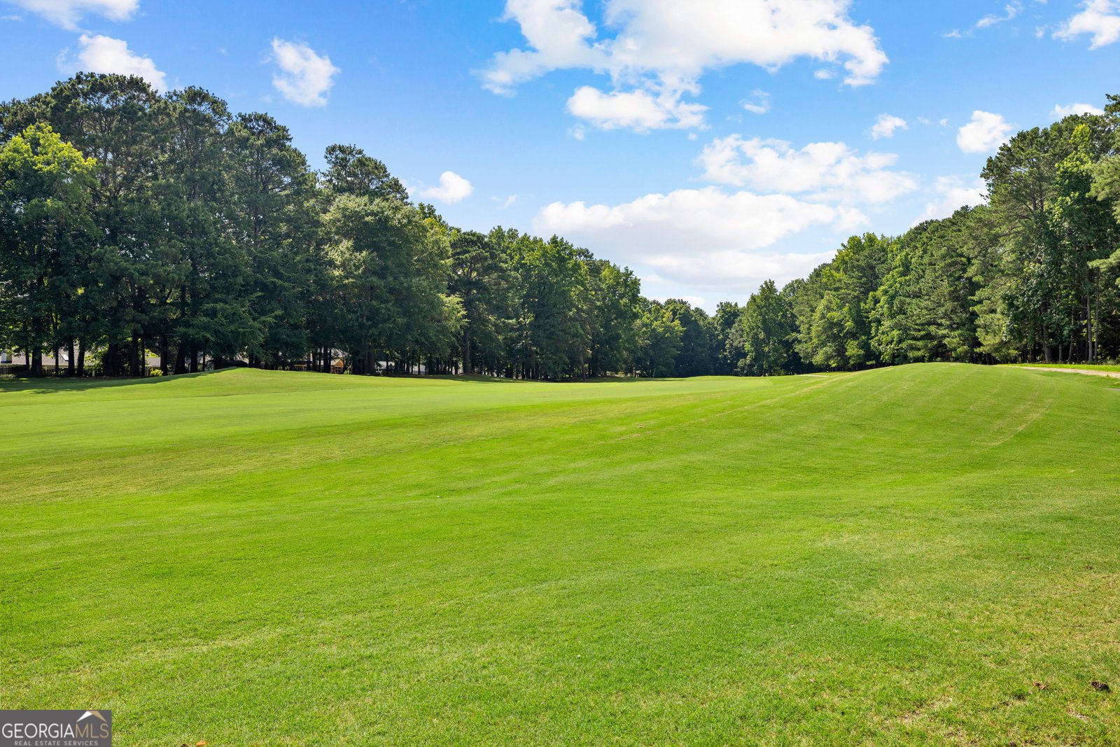 109 Crofts Corner Peachtree City - Photo 42