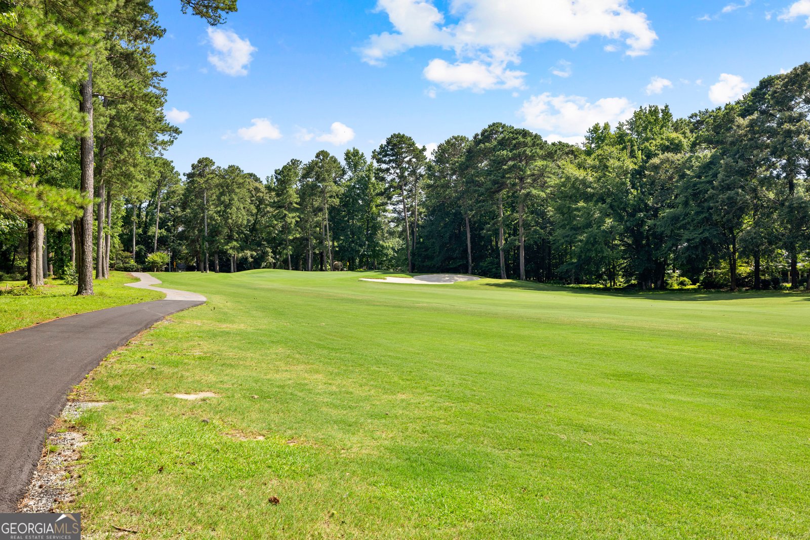 109 Crofts Corner Peachtree City - Photo 43