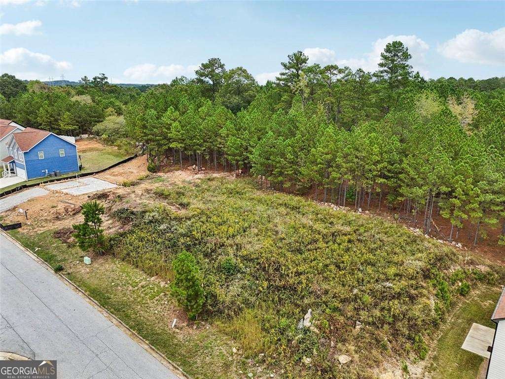 4405 Belcamp Road Fairburn - Photo 56