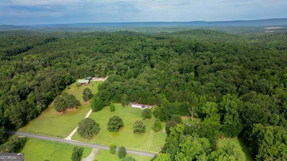 3151 Halls Valley Drive Trion - Photo 20