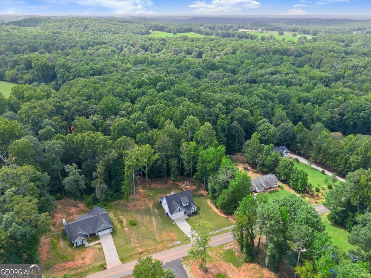 121 Mountain Creek Drive Maysville - Photo 46