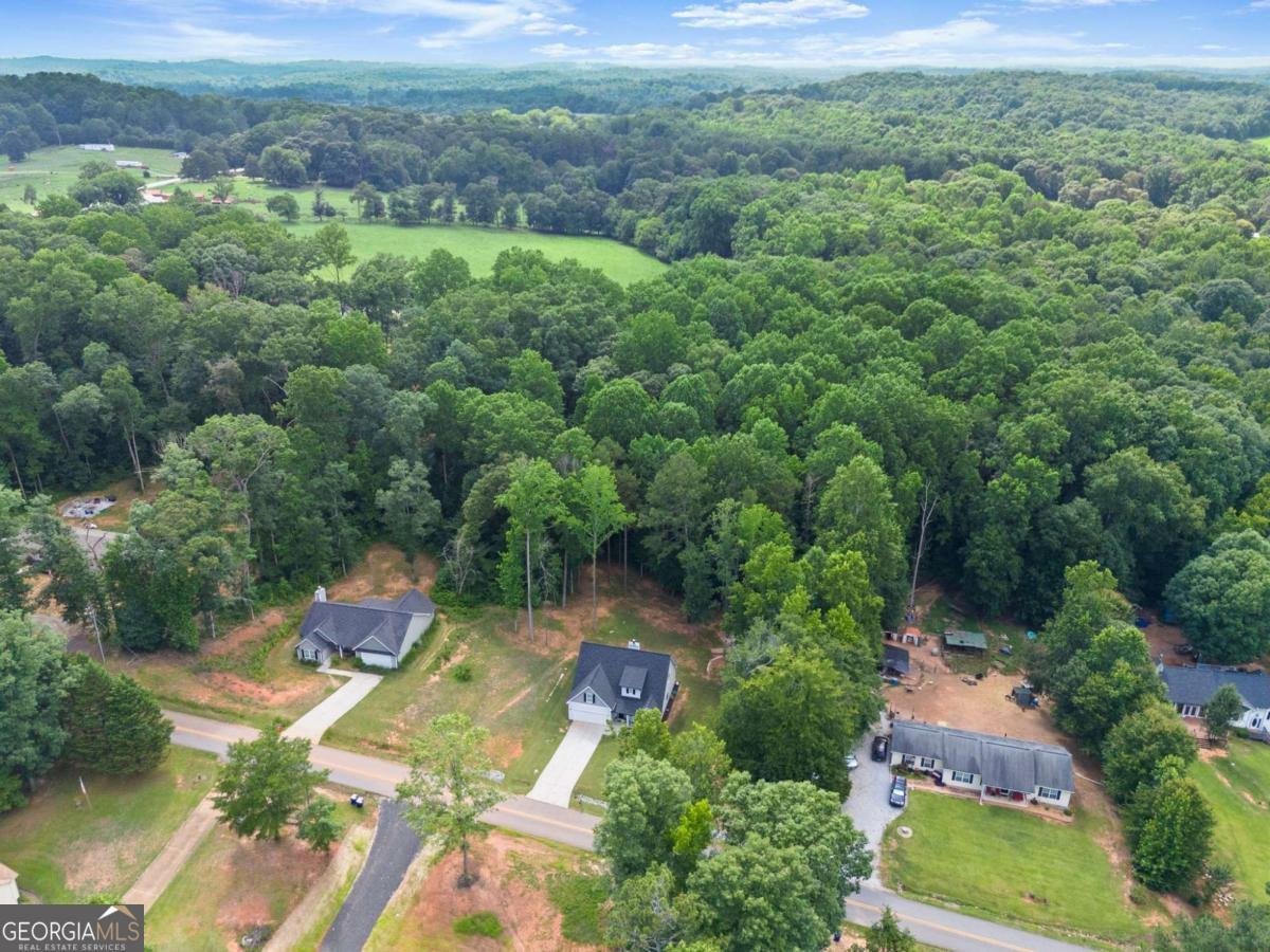 121 Mountain Creek Drive Maysville - Photo 47