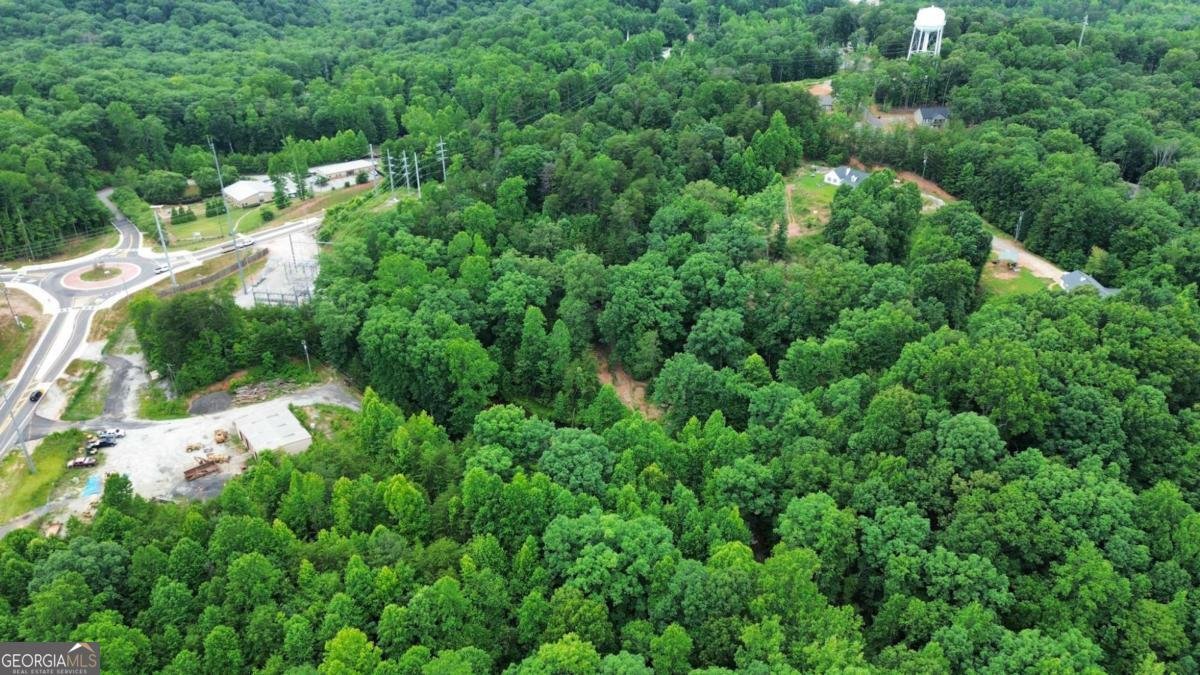 20 Stancil Drive Dawsonville - Photo 10