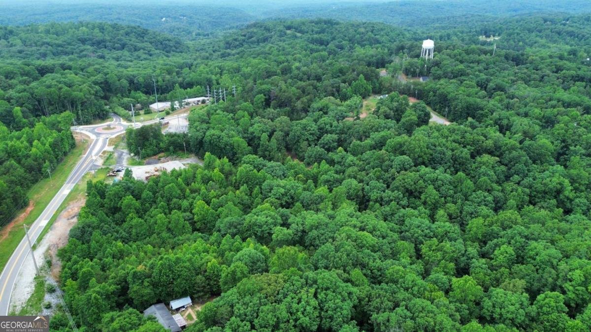 20 Stancil Drive Dawsonville - Photo 11