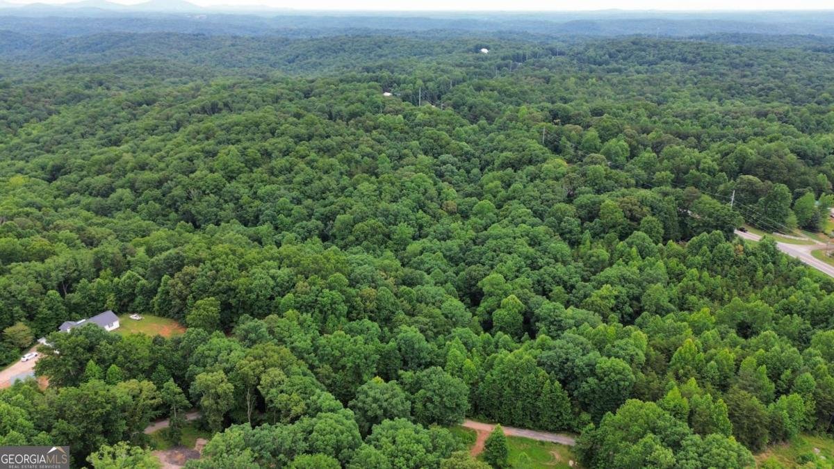 20 Stancil Drive Dawsonville - Photo 12