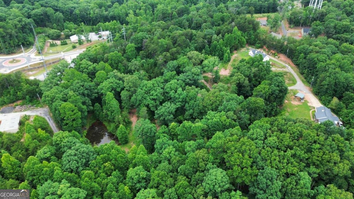 20 Stancil Drive Dawsonville - Photo 13