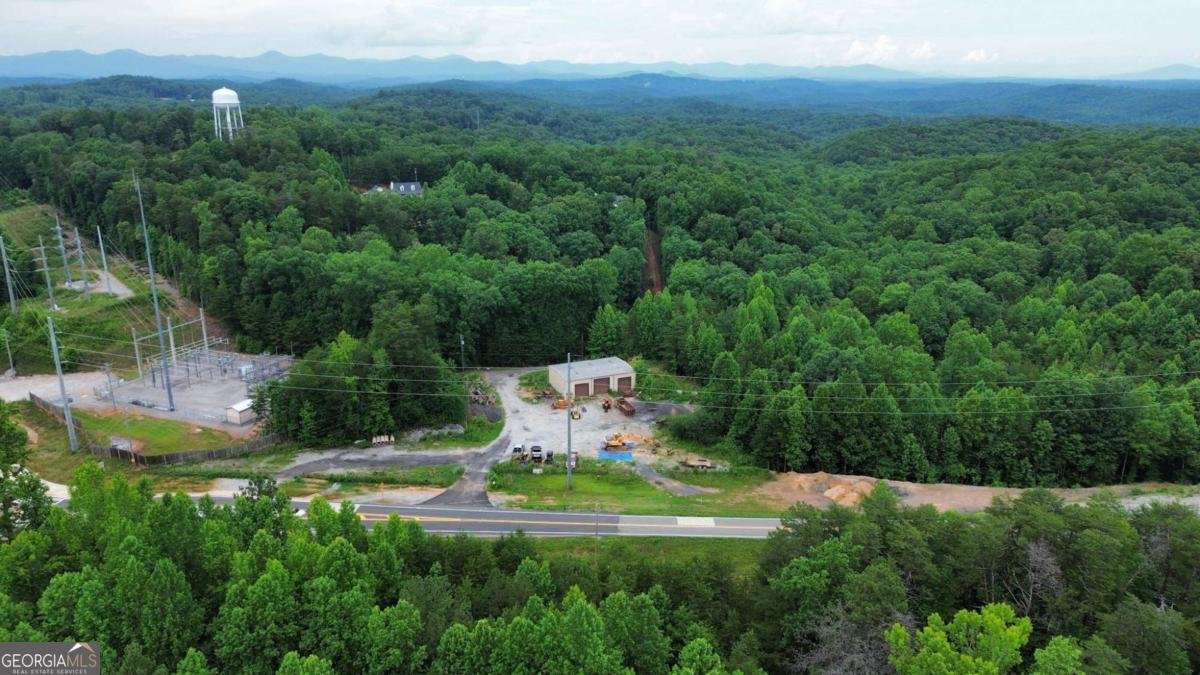 20 Stancil Drive Dawsonville - Photo 14