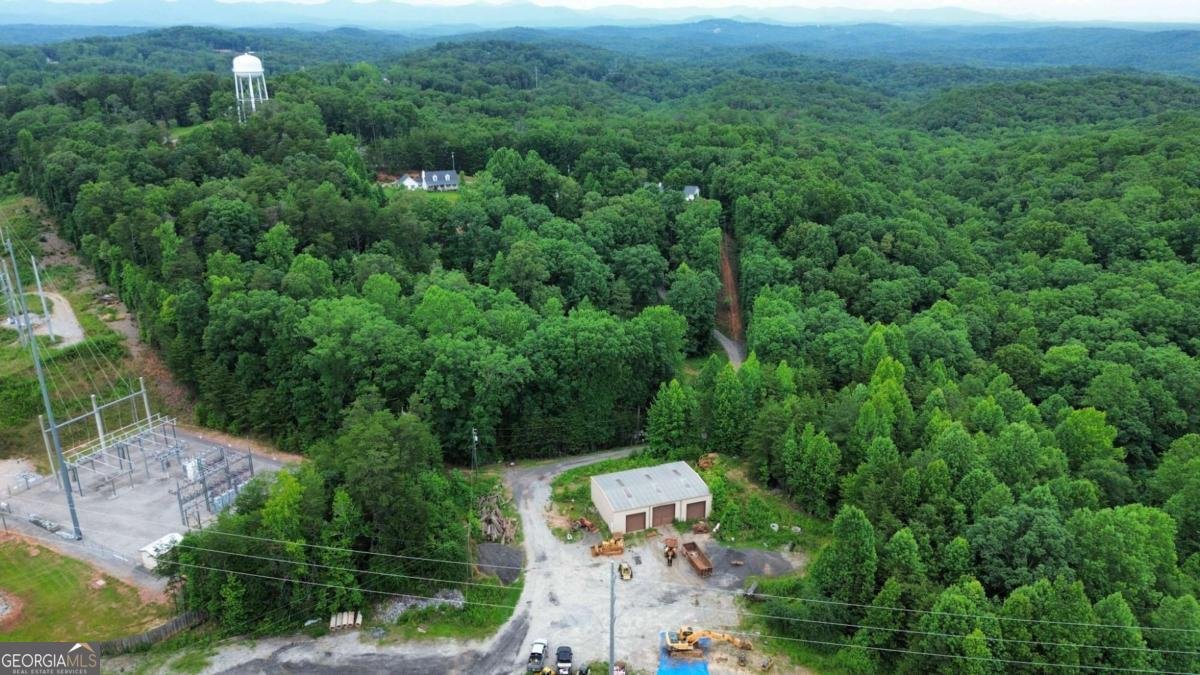 20 Stancil Drive Dawsonville - Photo 15