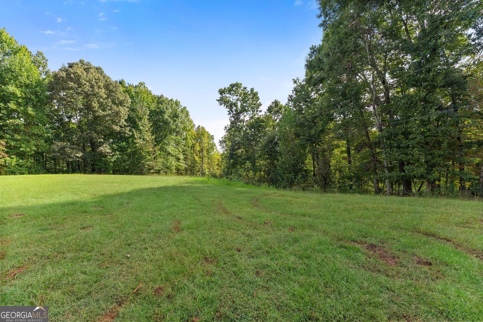 20 Stancil Drive Dawsonville - Photo 42
