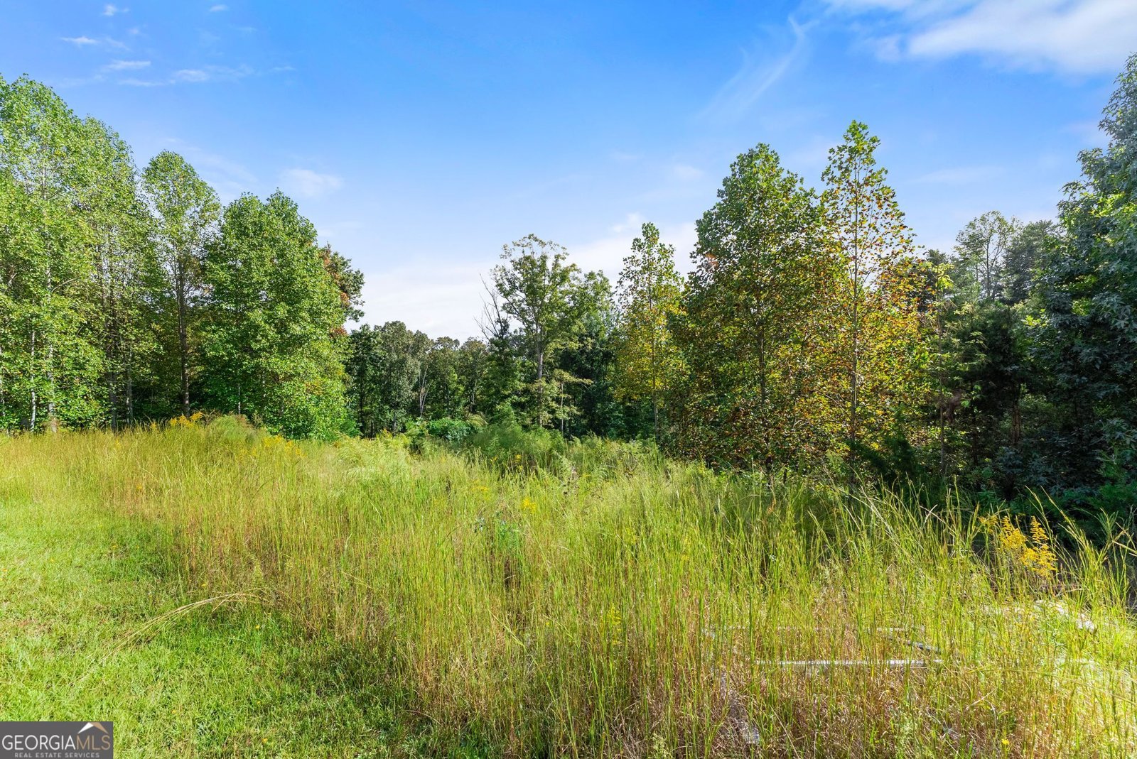 20 Stancil Drive Dawsonville - Photo 44