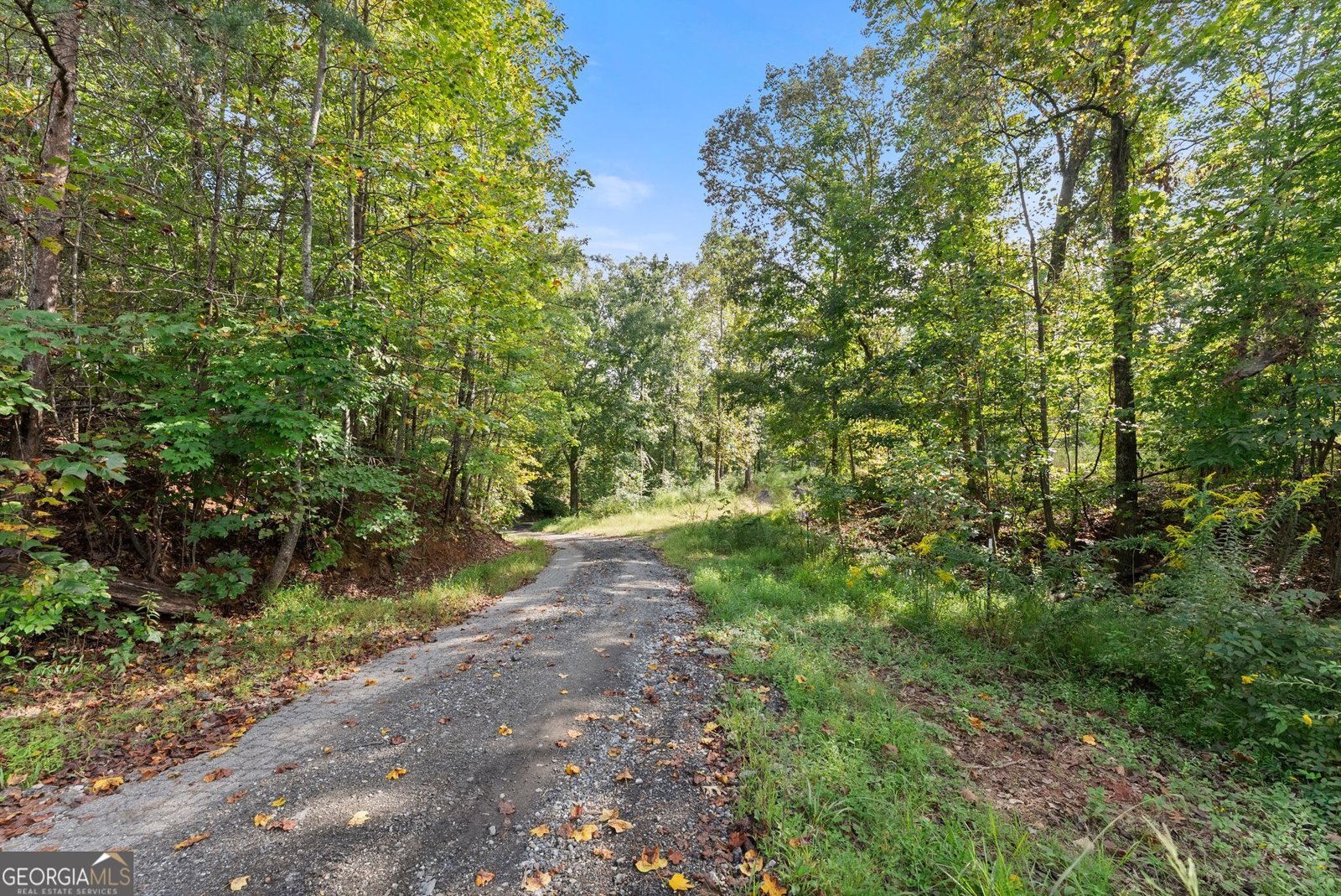 20 Stancil Drive Dawsonville - Photo 46