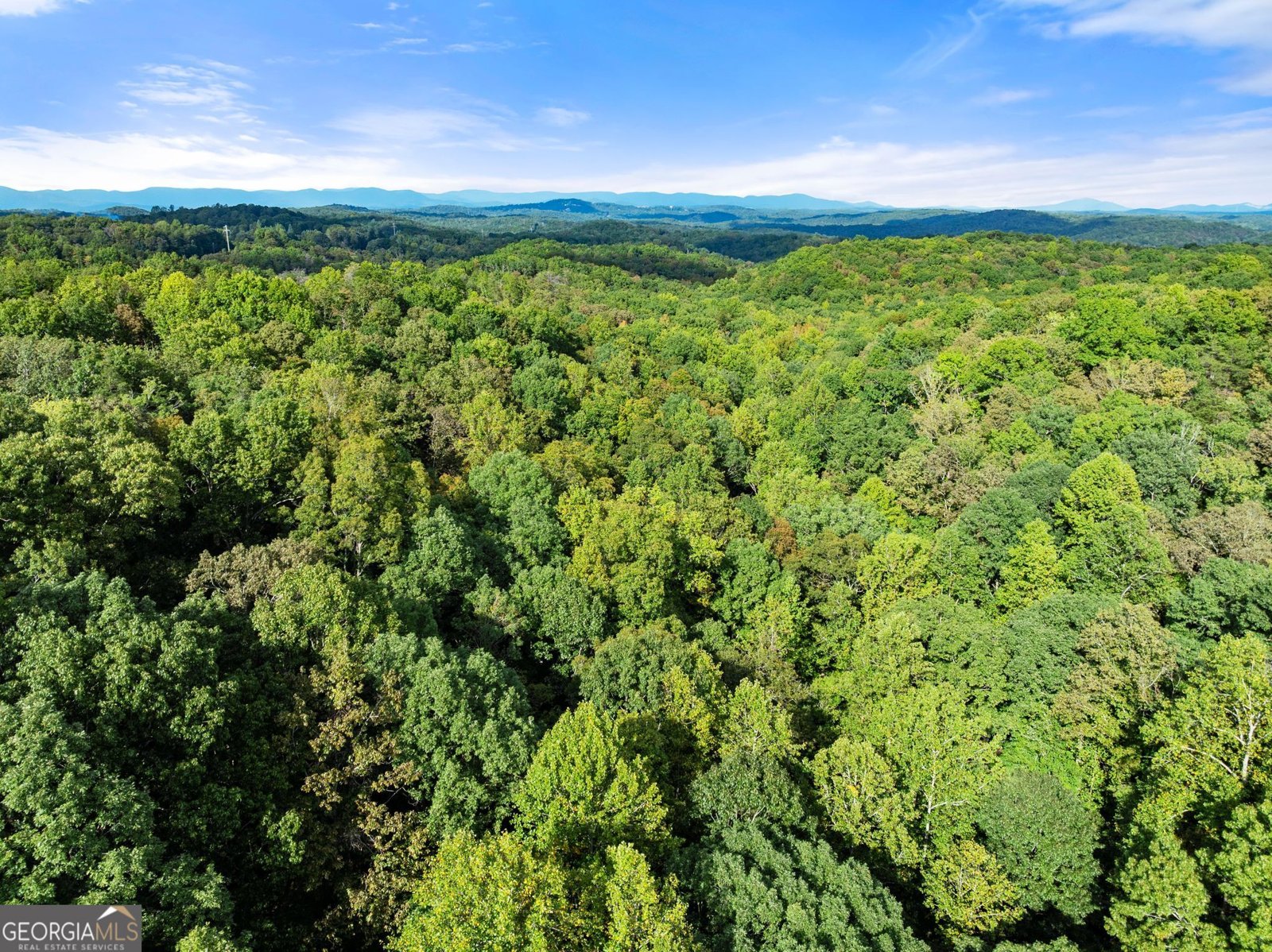 20 Stancil Drive Dawsonville - Photo 64