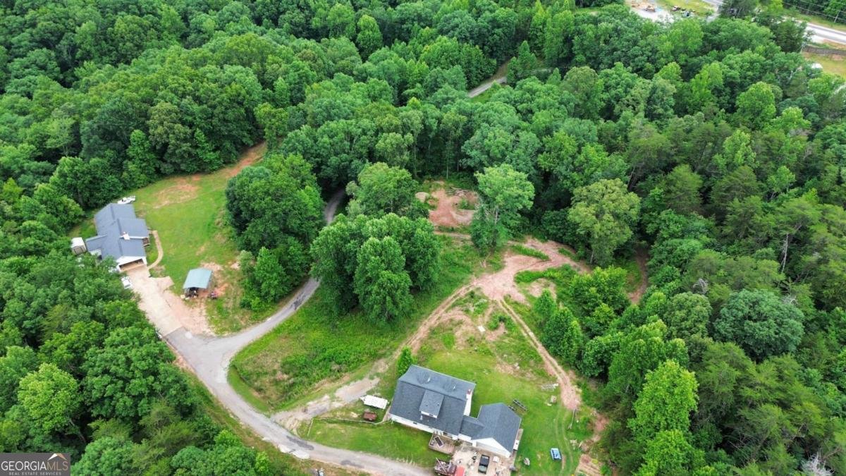 20 Stancil Drive Dawsonville - Photo 7