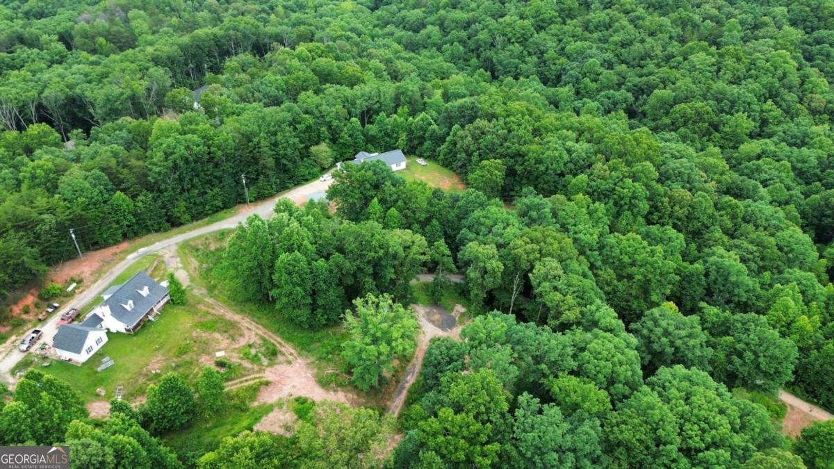 20 Stancil Drive Dawsonville - Photo 8