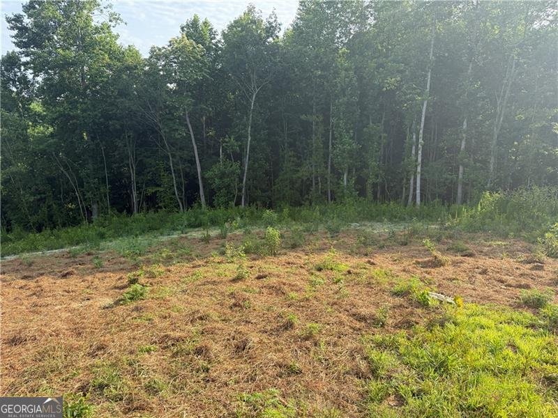 654 Robertson Loop Road Clarkesville - Photo 21