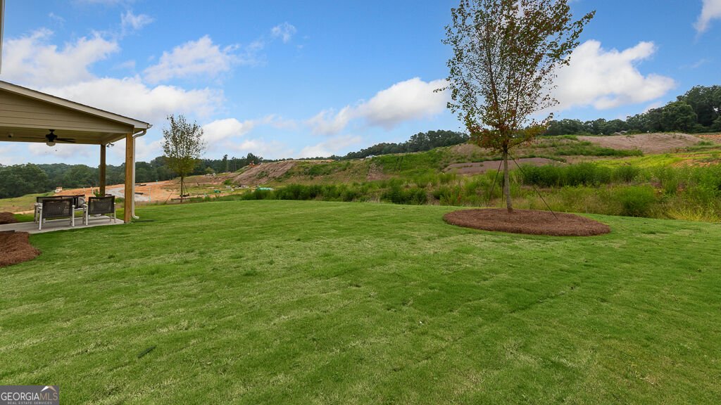 8525 Stratford Oaks Avenue Ball Ground - Photo 36