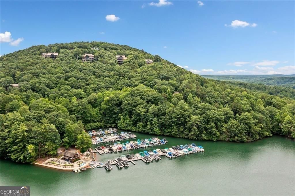 67 Chestnut Knoll Court Jasper - Photo 87