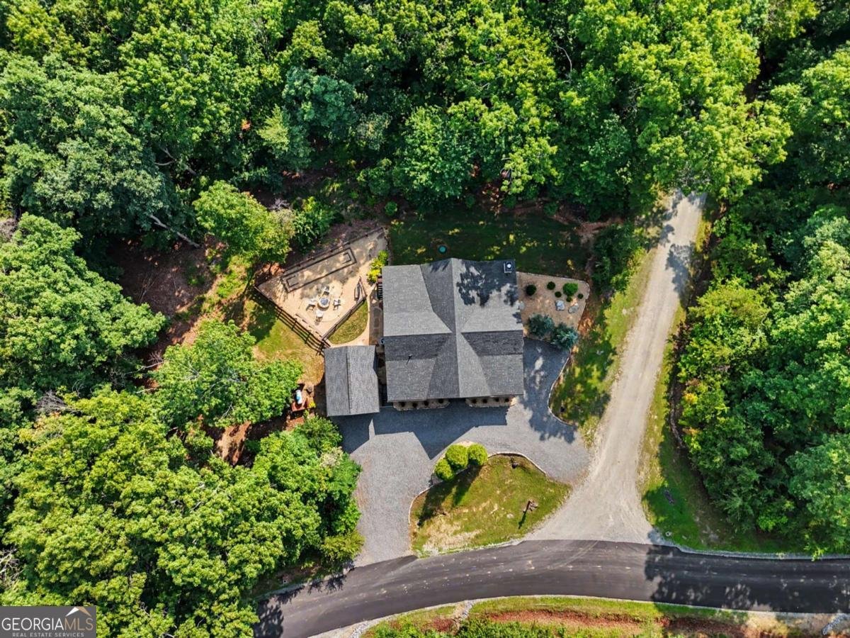 363 River Ridge Drive Blue Ridge - Photo 67