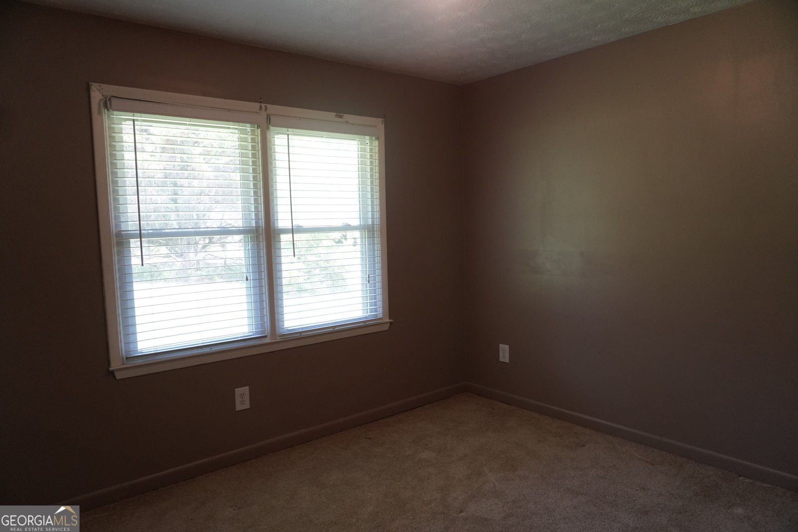 6436 Alpine Road Rex - Photo 23