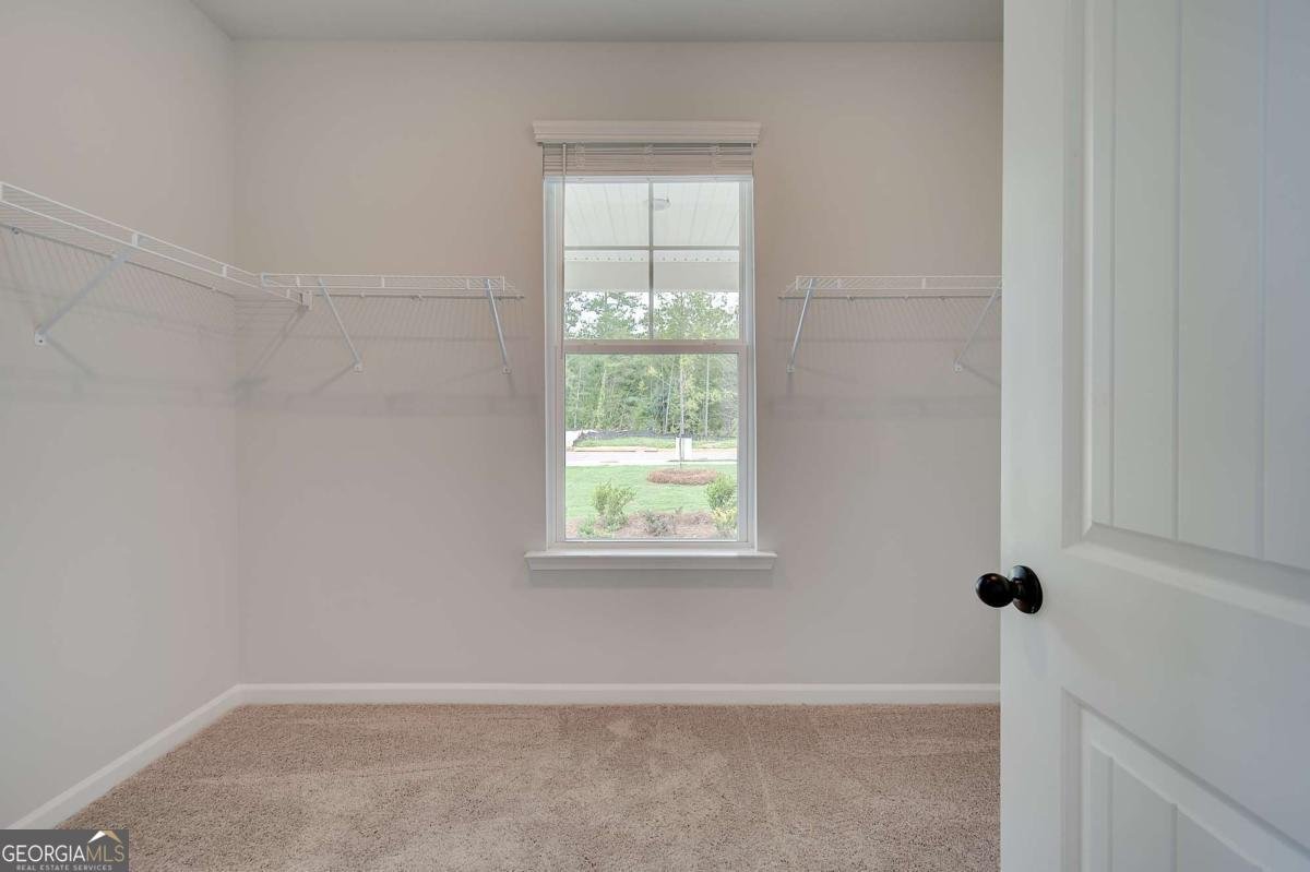 141 Dohrn Drive Loganville - Photo 23