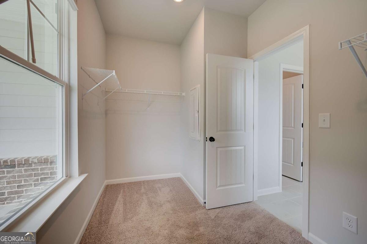 141 Dohrn Drive Loganville - Photo 24