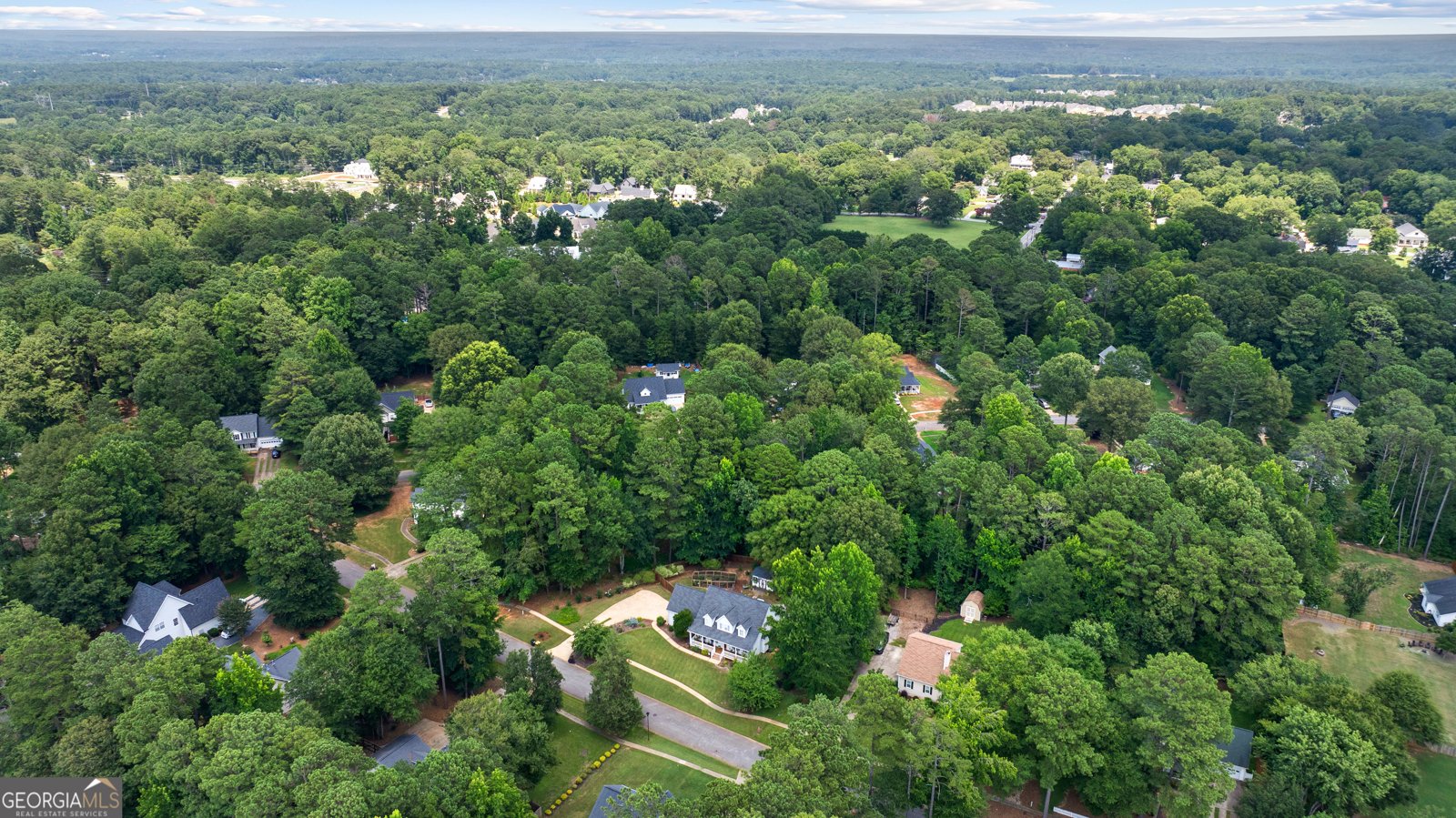 141 Sherrells Ford Drive Senoia - Photo 65