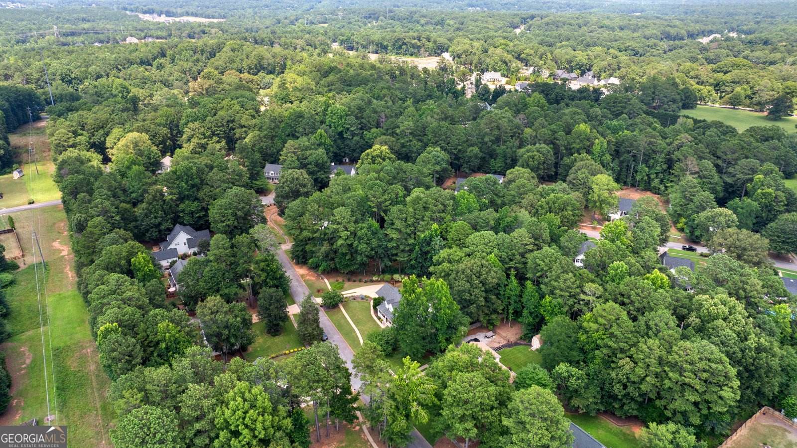 141 Sherrells Ford Drive Senoia - Photo 66