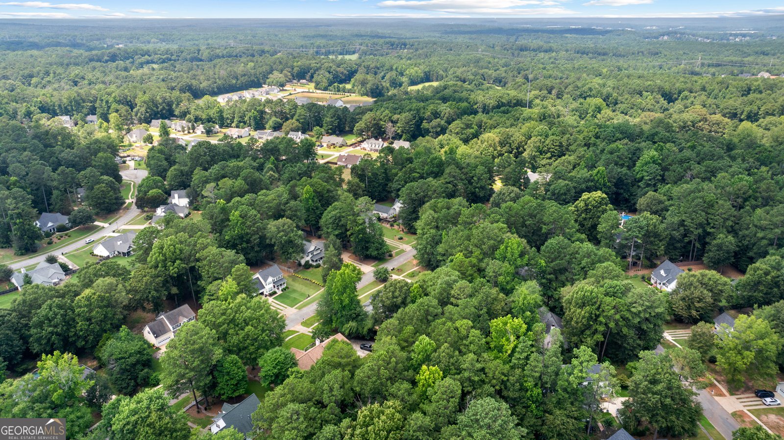141 Sherrells Ford Drive Senoia - Photo 67