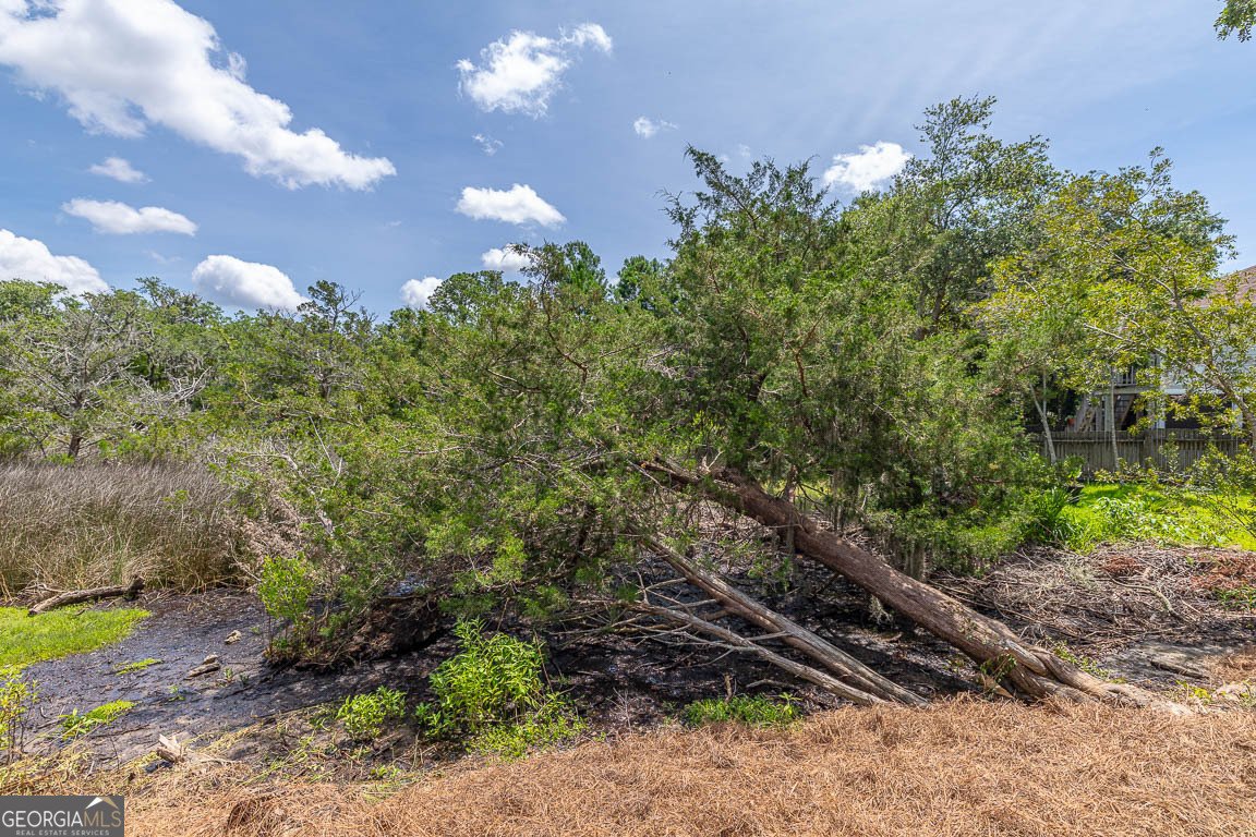 614 Cedar Street St. Simons - Photo 41