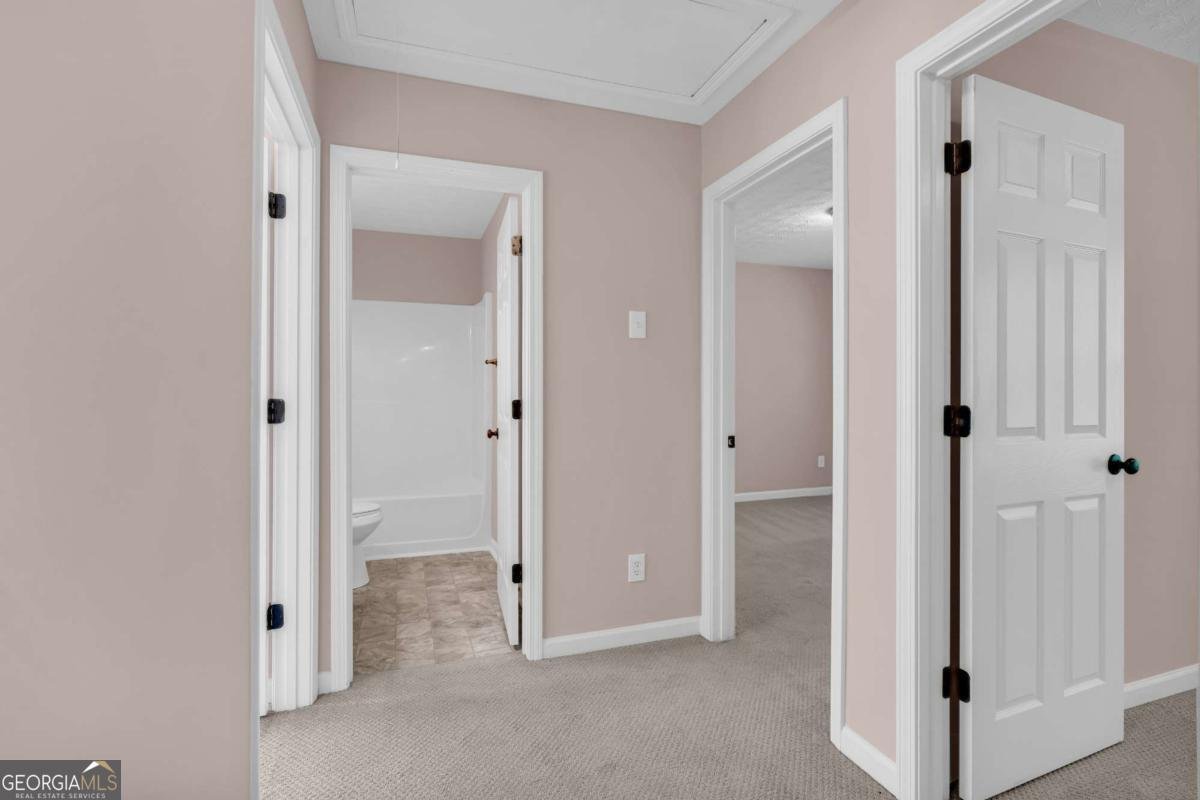 207 Pearl Chambers Drive Dawsonville - Photo 39