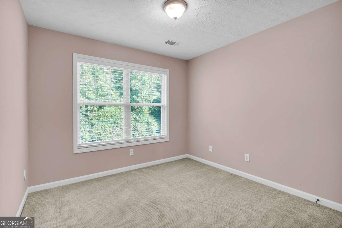 207 Pearl Chambers Drive Dawsonville - Photo 40