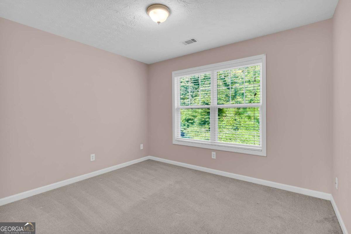 207 Pearl Chambers Drive Dawsonville - Photo 42