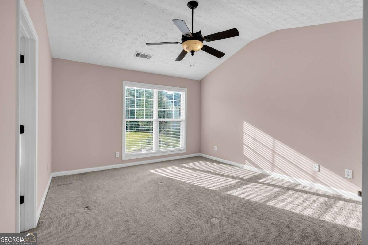 207 Pearl Chambers Drive Dawsonville - Photo 45