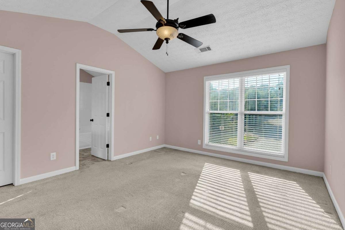207 Pearl Chambers Drive Dawsonville - Photo 47