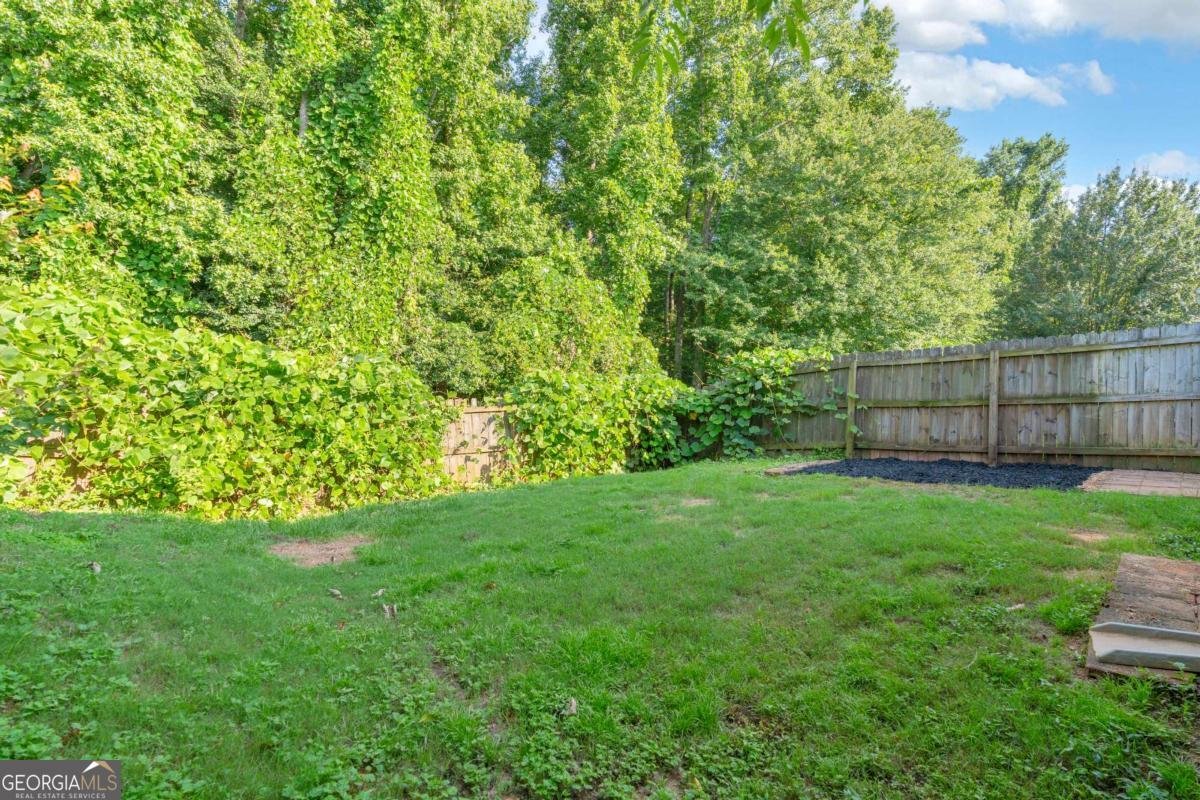 207 Pearl Chambers Drive Dawsonville - Photo 60